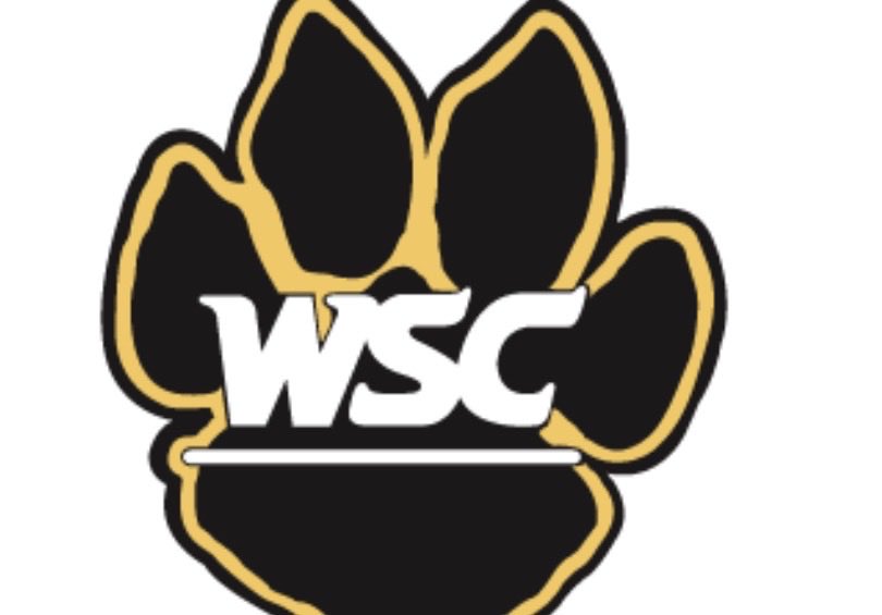 Colton Williams tweet media