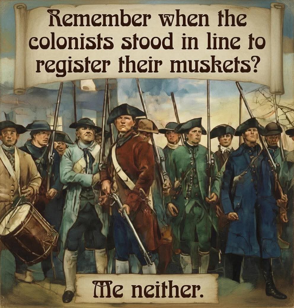 Cardinal Redbird (@cardiredbird) on Twitter photo 