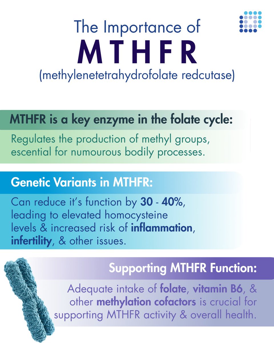 By staying informed about genetic factors using tests like our methylationIQ Test, you take proactive steps toward understanding how nutrition can support your unique health needs. Engaging with this knowledge empowers you to make decisions that align with your well-being goals.