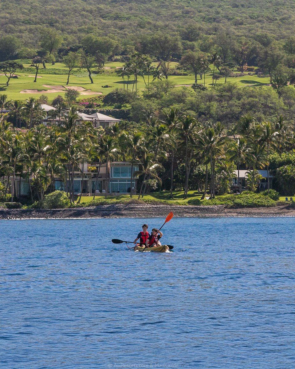 molokini's tweet photo. Time on the water is time well-spent! What's your favorite thing to do on Maui? https://t.co/sMSgx8Vf0L