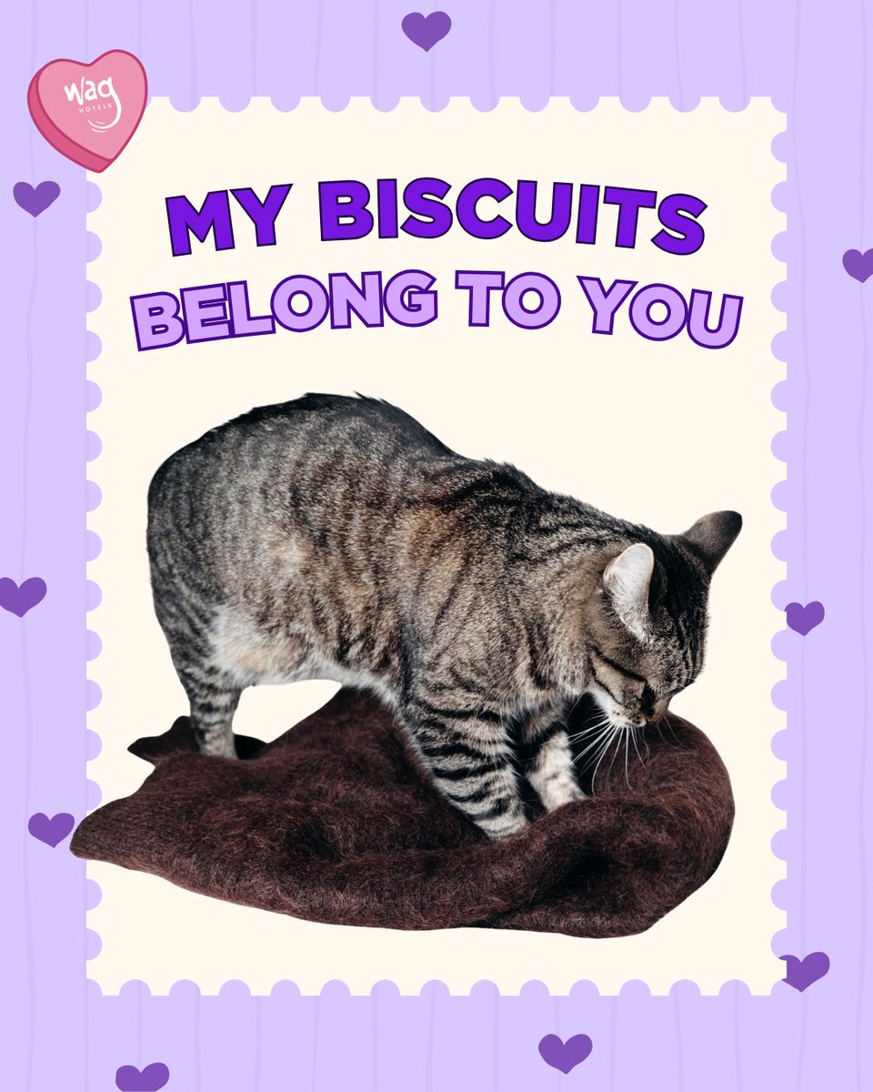 Wag Hotels tweet media