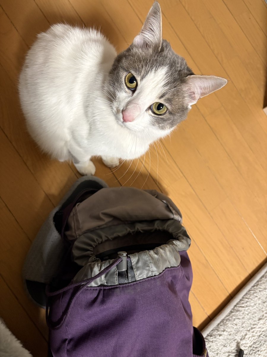 無事エントリー完了✅
あとは頑張るだけ💪