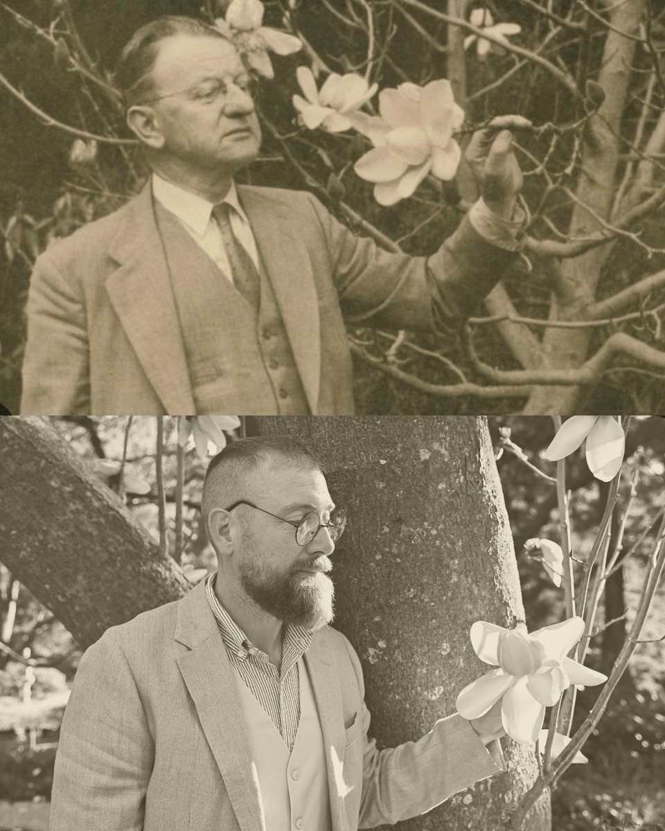 San Francisco Botanical Garden tweet media