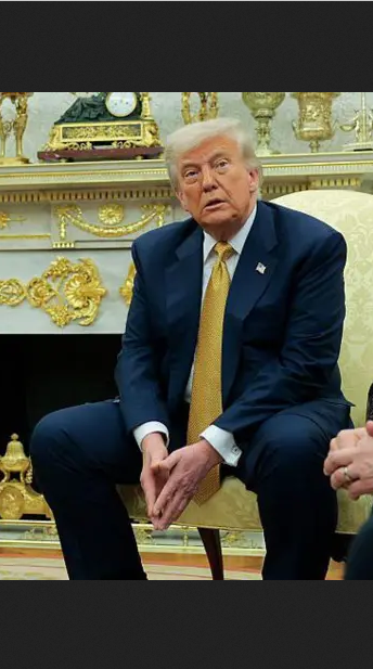 Maga Nadine tweet media