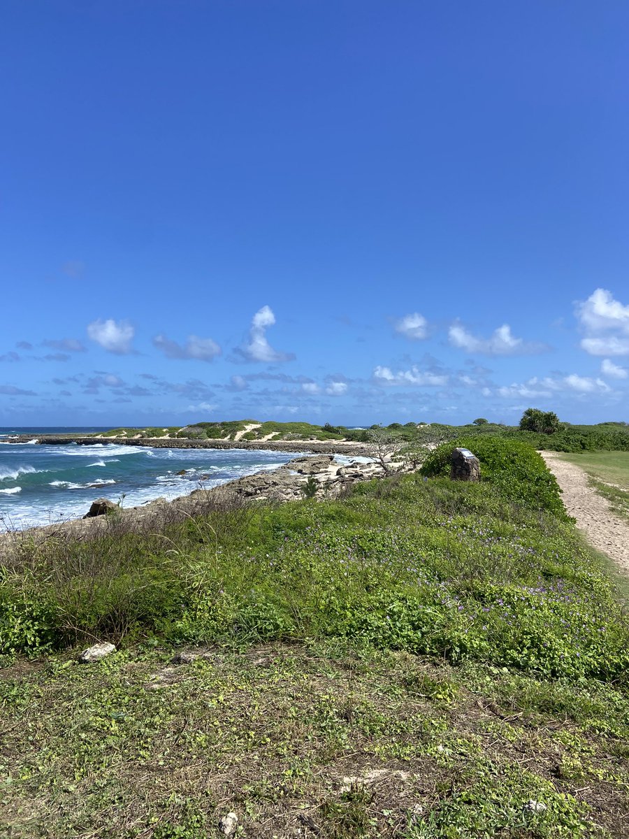 This coastline is unreal
