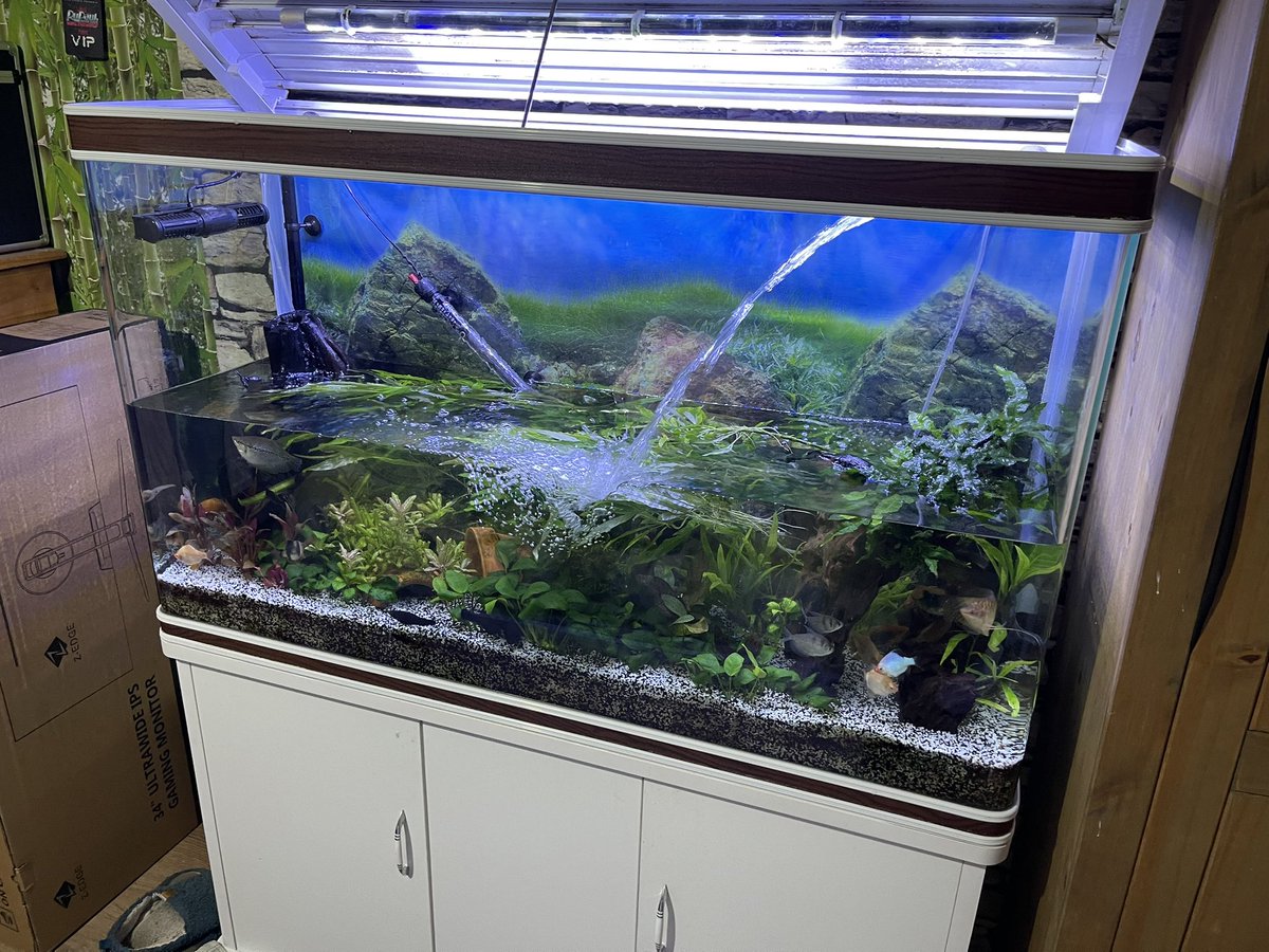 At my cousins 50th birthday party when I get a notification from ring, it’s my neighbour from below, then I get a voicemail from the landlord, it turns out my fish tank leaked, over 200 litres of water drained through the floor to her flat