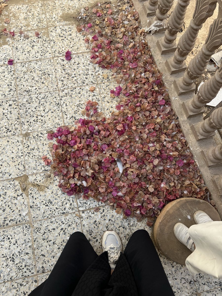 Hun__1998's tweet photo. البيت اللي قضيت فيه أحلى أيام عمري ، اليوم واقفه استرجع ذكرياتي فيه ومعاي سعيد وآيلا وأحمد 🤍🤍🤍. https://t.co/P8c950tJHE