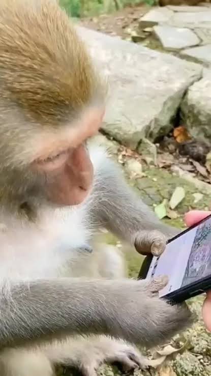 Halik Take tweet media