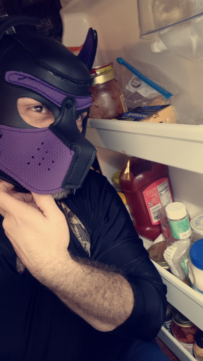 Just a pup looking for a snack...oh wait..it's you 😚