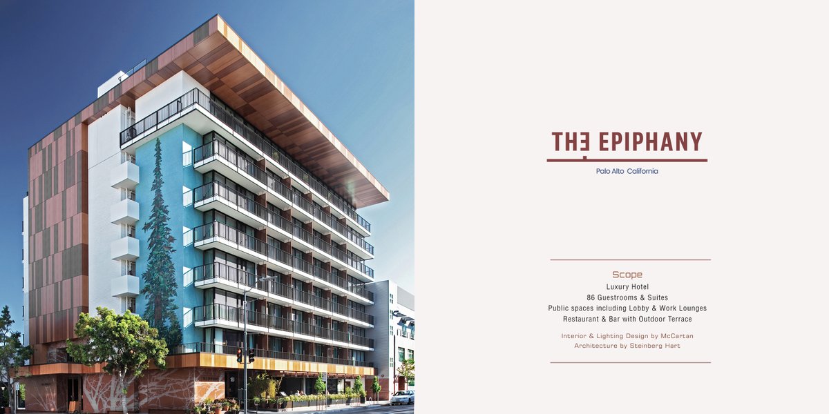 McCARTAN tweet media