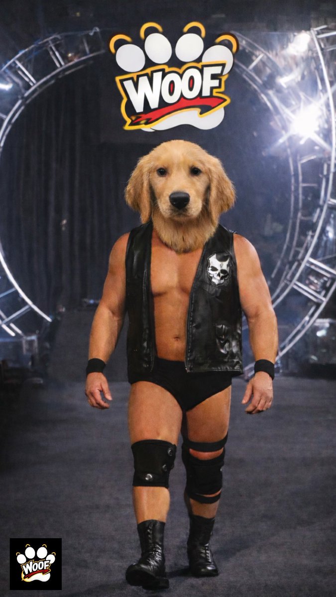 TheRealBarkingPuppy (@barkingpuppy8) on Twitter photo 