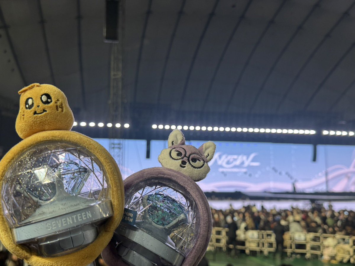 みなさんおはよんです☺️
토요일！

caratday💎
ウォヌさんの目撃情報や
C×Mのライブの紫スンチや
前髪ミンギュの情報がすごい😍

今日は美容院とランチの予定が
お友達のお子さんがお熱で
ランチはなくなって
暇子さんになりました

せっかくのバレンタインだけど
ゴロゴロDAY

今日も一日ハッピーに♡