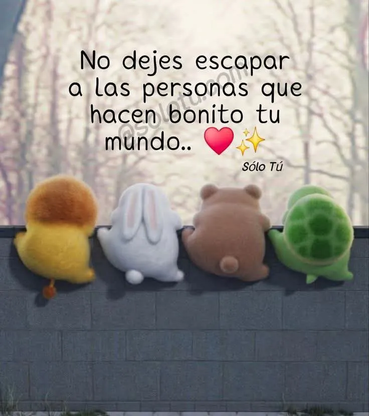 Consejo del día.