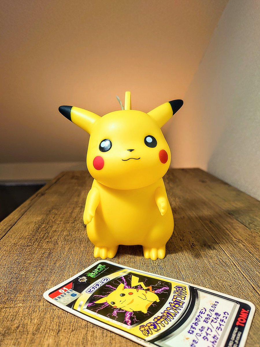 おはようございます。 この度、TOMYから発売されていた、ポケモンの