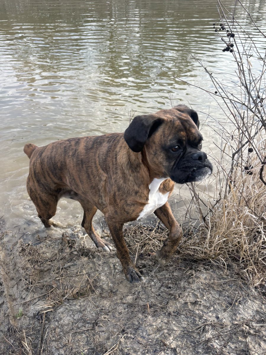 Little afternoon sxs ride down to the water.