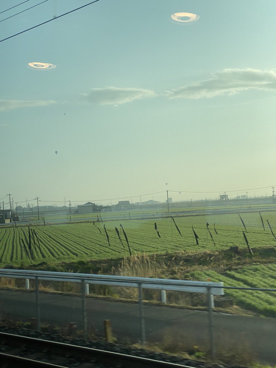 ここいつも気球飛んでる