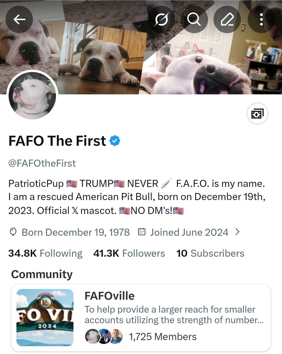 Pup squad, listen up!  We're sitting at ~41k strong right now, and 50k is the next boss level we smash together.  If you've laughed at my memes, nodded at the red-pill drops, or just love a based pit bull calling it like it is... this is YOUR call to action.  Help your boy FAFO