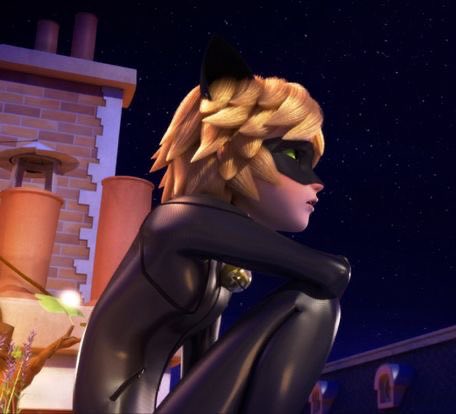 daily chat noir tweet media