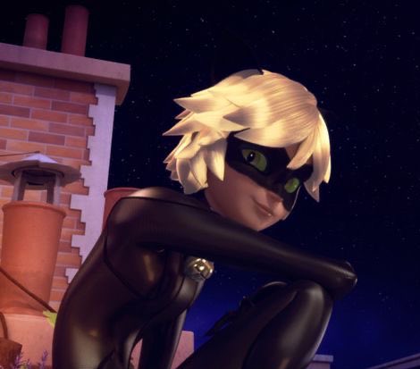 daily chat noir tweet media