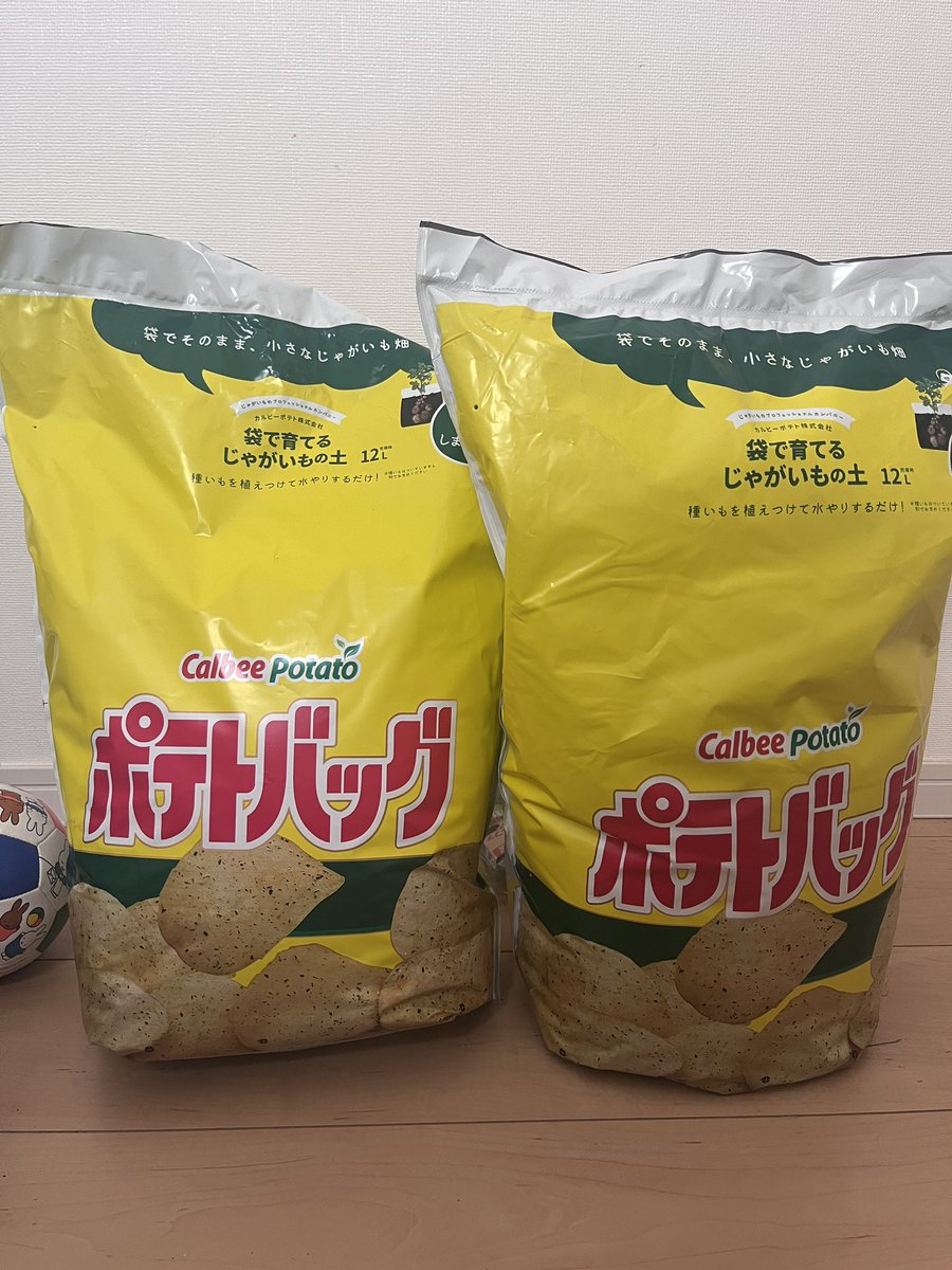反応が遅くなりました。 バレンタインといえばポテトバッグの植え時