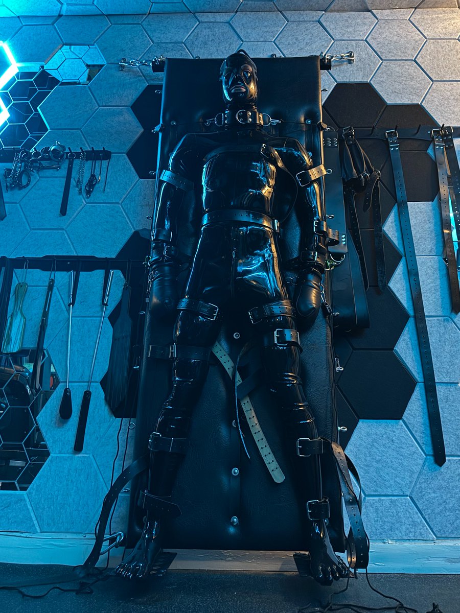 Pup Troy tweet media