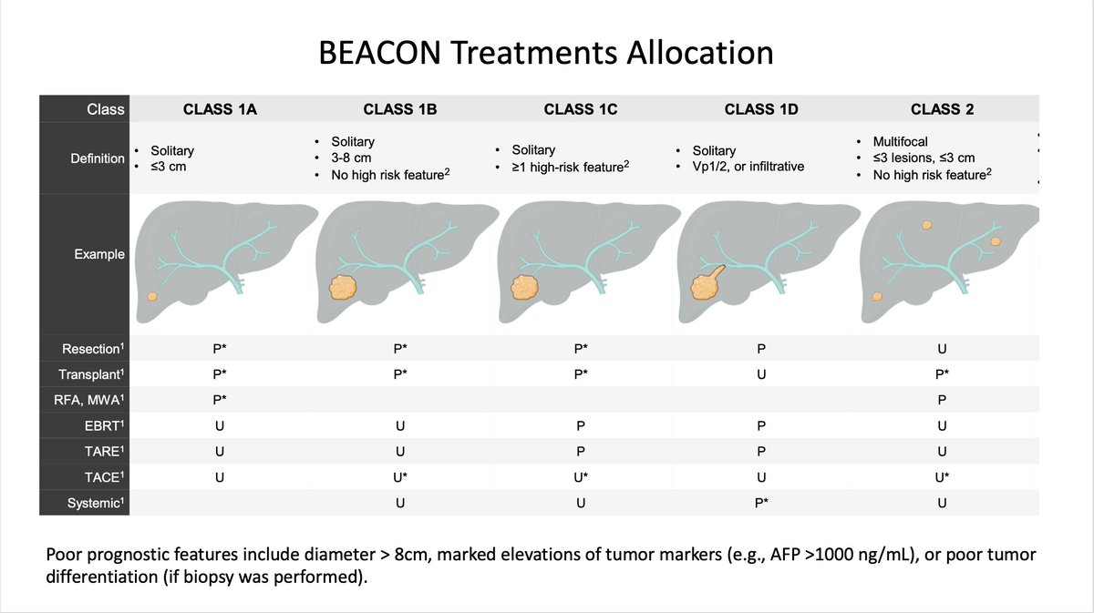 Dr. Nina Niu Sanford tweet media