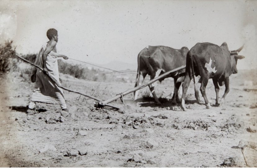 ERI PHTO33 tweet media