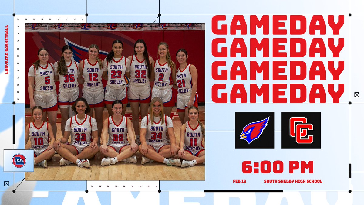 SS Ladybirds Basketball tweet media