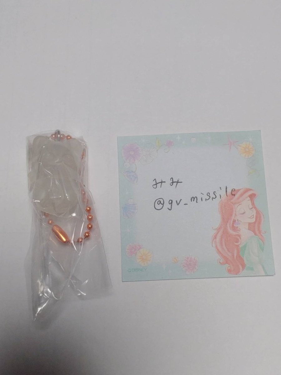 みみ🐹🐨 tweet media