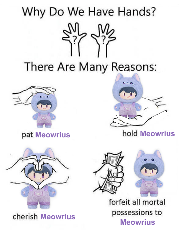 feathered_fae's tweet photo. ohmygod he’s an actual meowmeow now https://t.co/zFIAS0WW3d