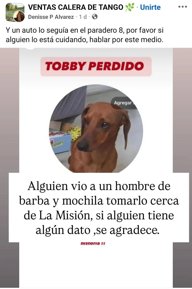 PerrosSalchichas.cl tweet media