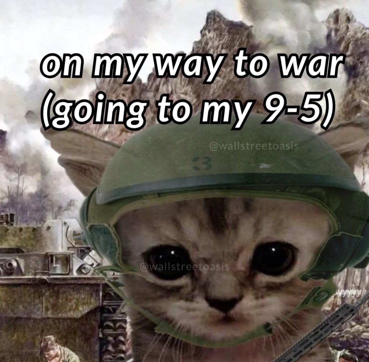 LiterallyMeCats tweet media