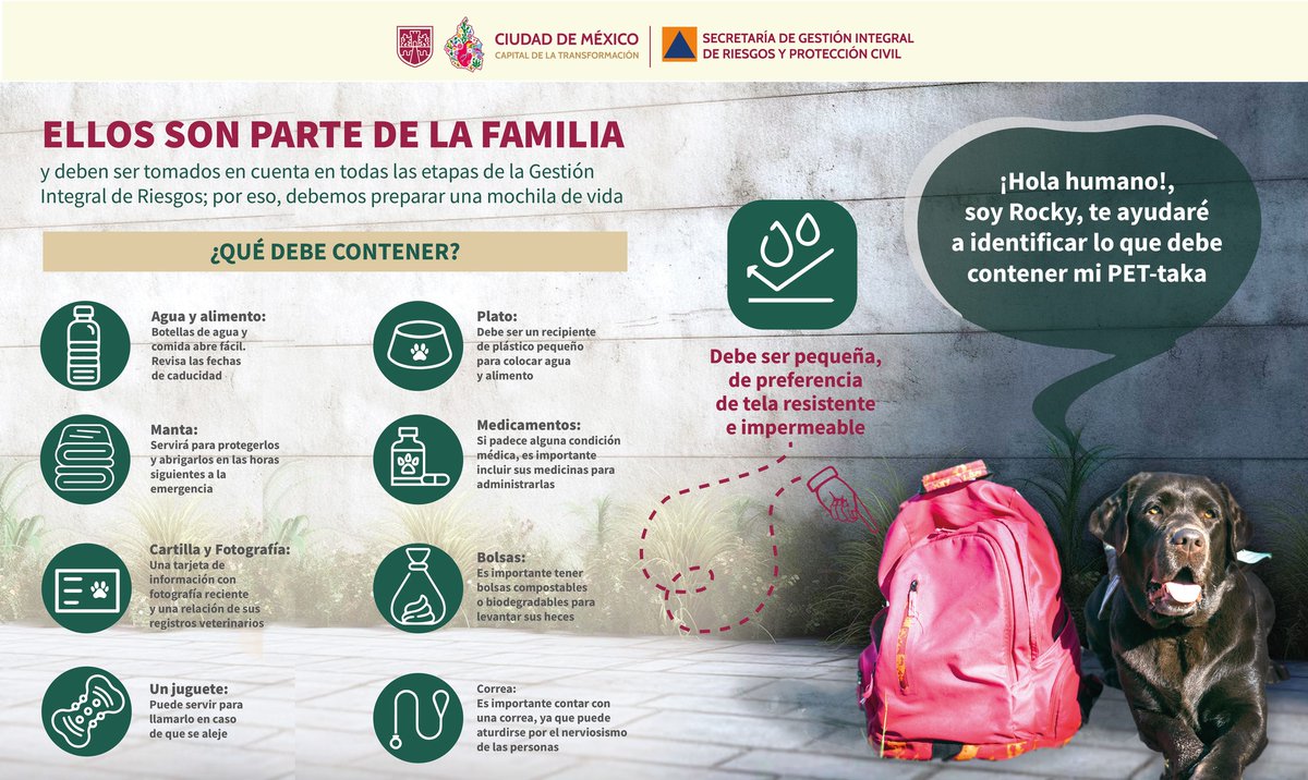 SGIRPC_CDMX's tweet photo. 🎒🐶😺 Los animales de compañía deben ser considerados en todas las etapas de la Gestión de Riesgos. Por ello, también deben contar con su Mochila de Vida.
#LaPrevenciónEsNuestraFuerza https://t.co/orS7Ye2tHb