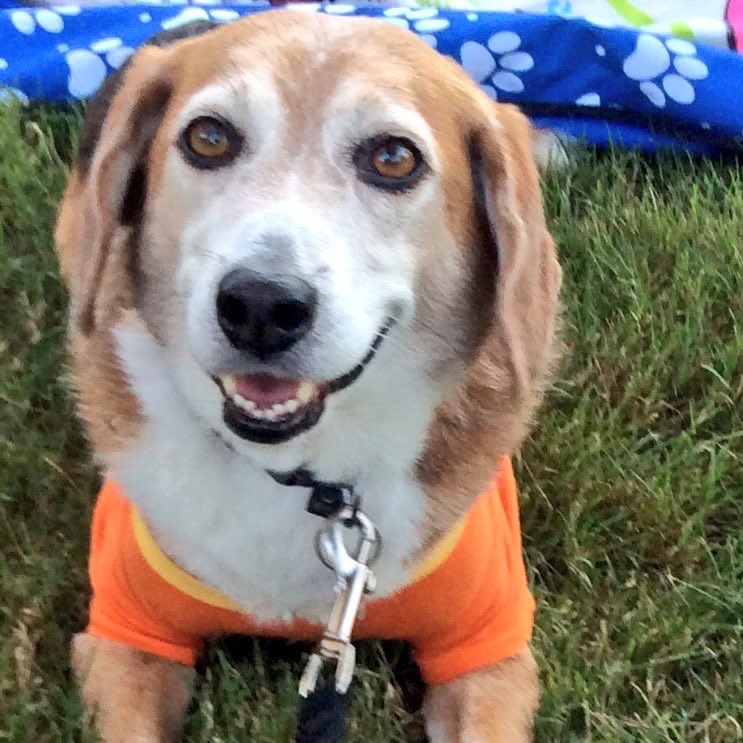 Hapeey Friday da 13th 🤎🤗🐾😇