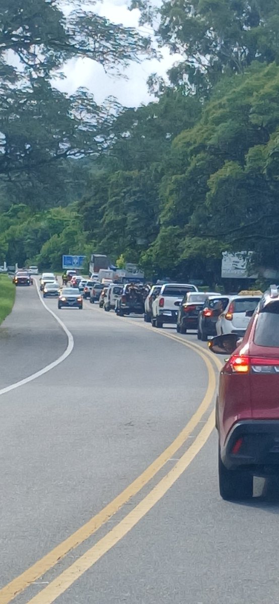 Alvaro Simon Padros tweet media