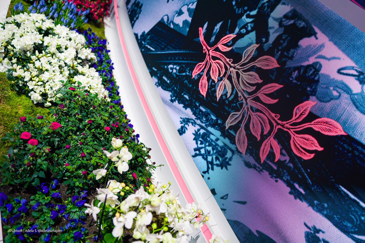 CubusSister tweet media