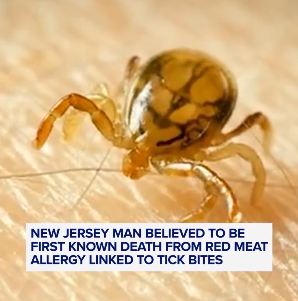 Rothmus 🏴 tweet media