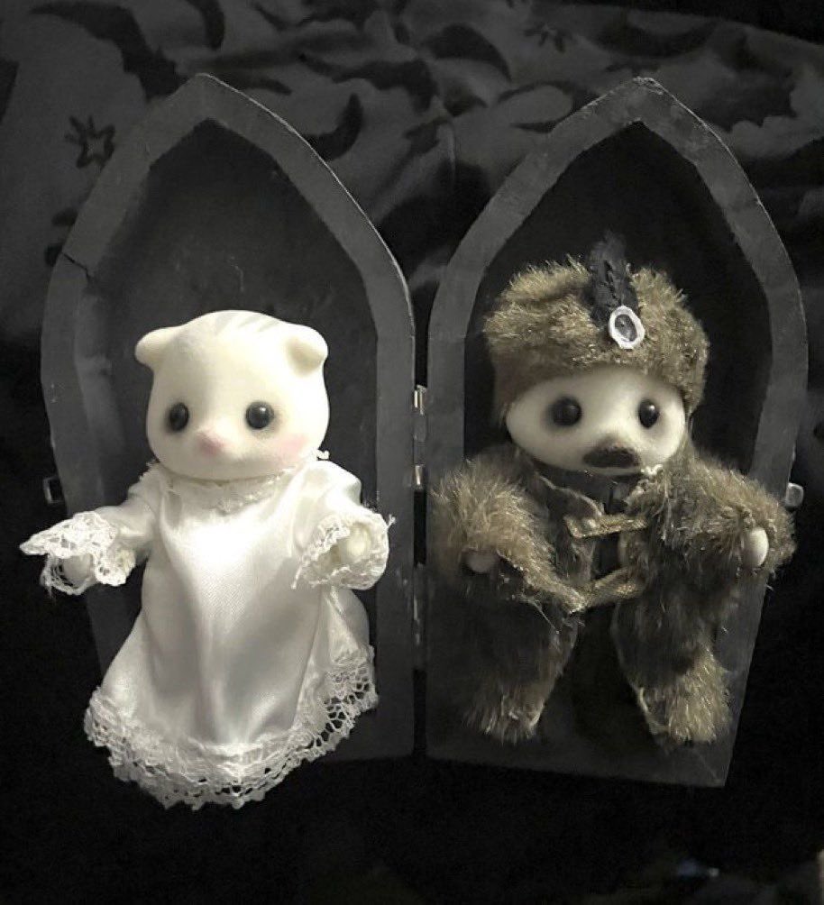 𝔖𝔦𝔩𝔢𝔫𝔠𝔢𝔣𝔬𝔯𝔪𝔶𝔰𝔬𝔲𝔩 (@funeralmind) on Twitter photo 