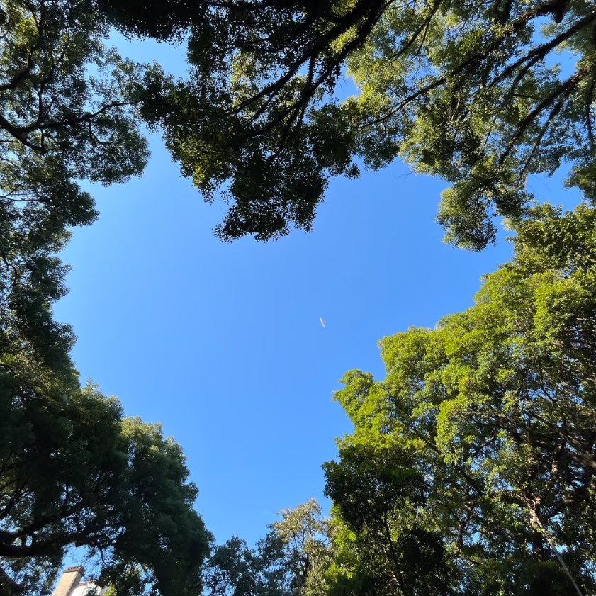 if you pay enough attention you’ll find love everywhere you look