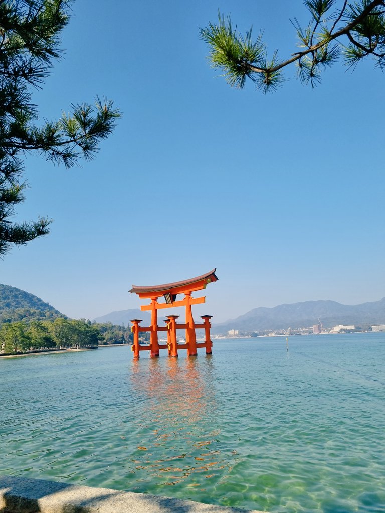 Ash May (If you ask nicely 💕) tweet media