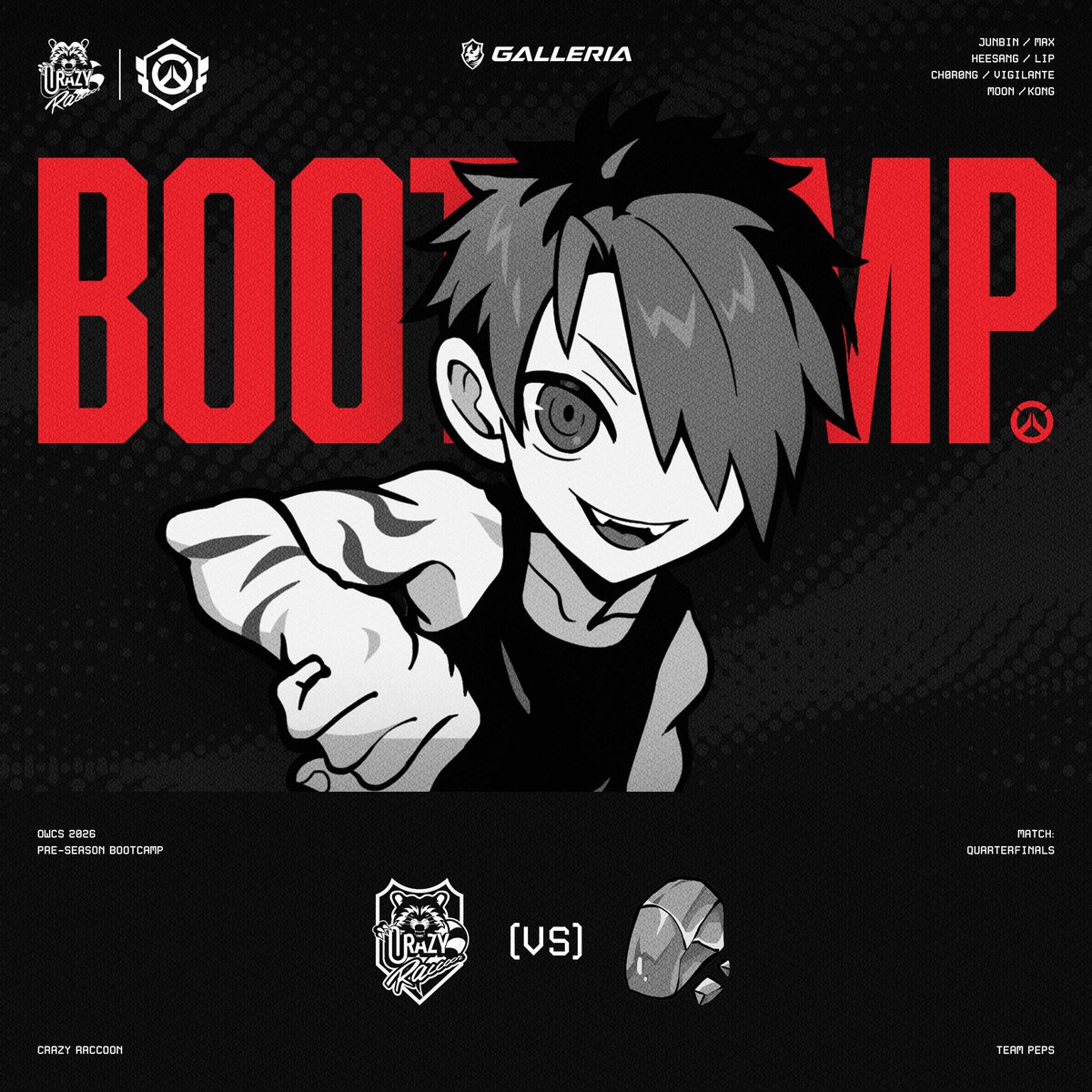 Crazy Raccoon (@crazyraccoon406) / Posts / X