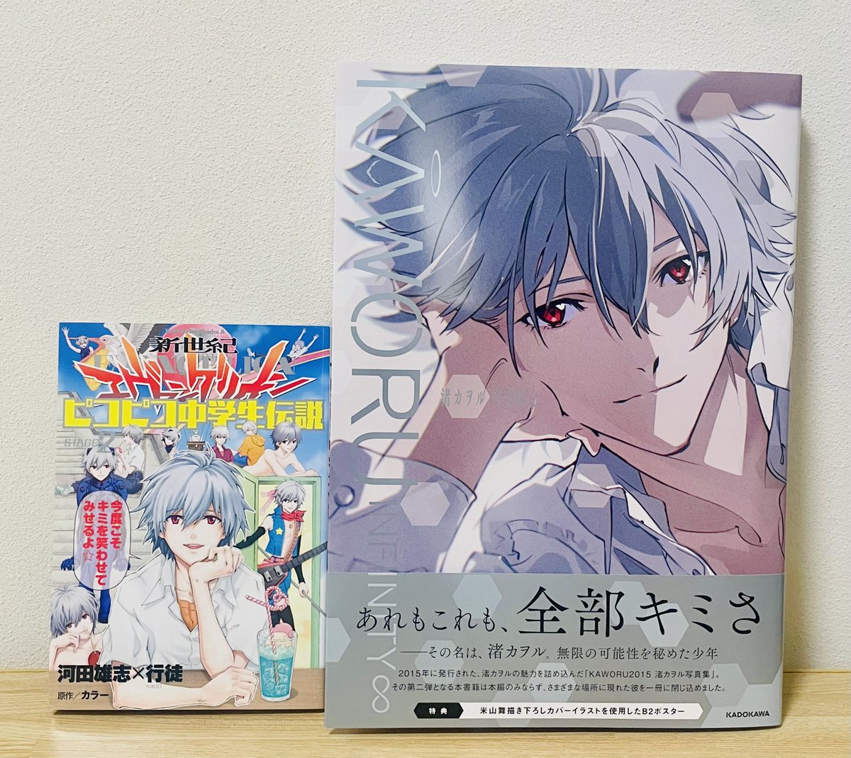 その名は、渚カヲル。無限の可能性を秘めた少年」で思い浮かんだのコレ