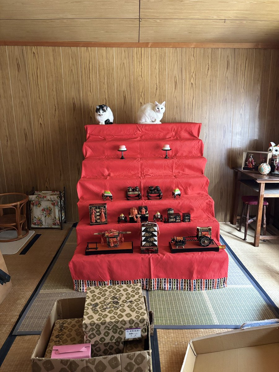 🍀ニャンコの自由さ加減 いいよねー🐱💖ｽﾃｷ！