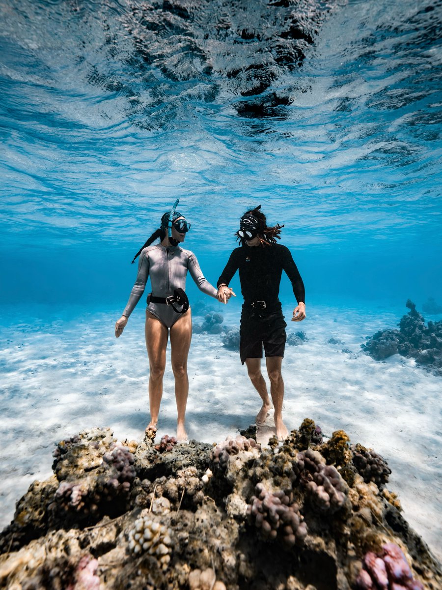 タヒチ観光局【公式】 tweet media