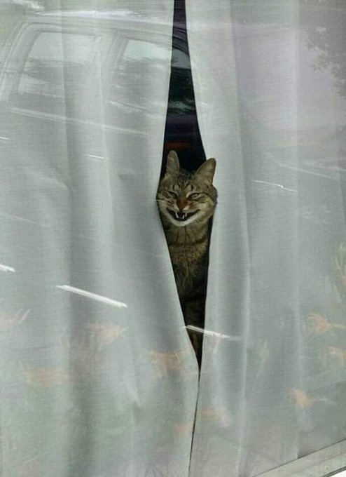 Piotr Zarzeczański (jego otyłość/jego otyłości) (@redaktorbs) on Twitter photo 