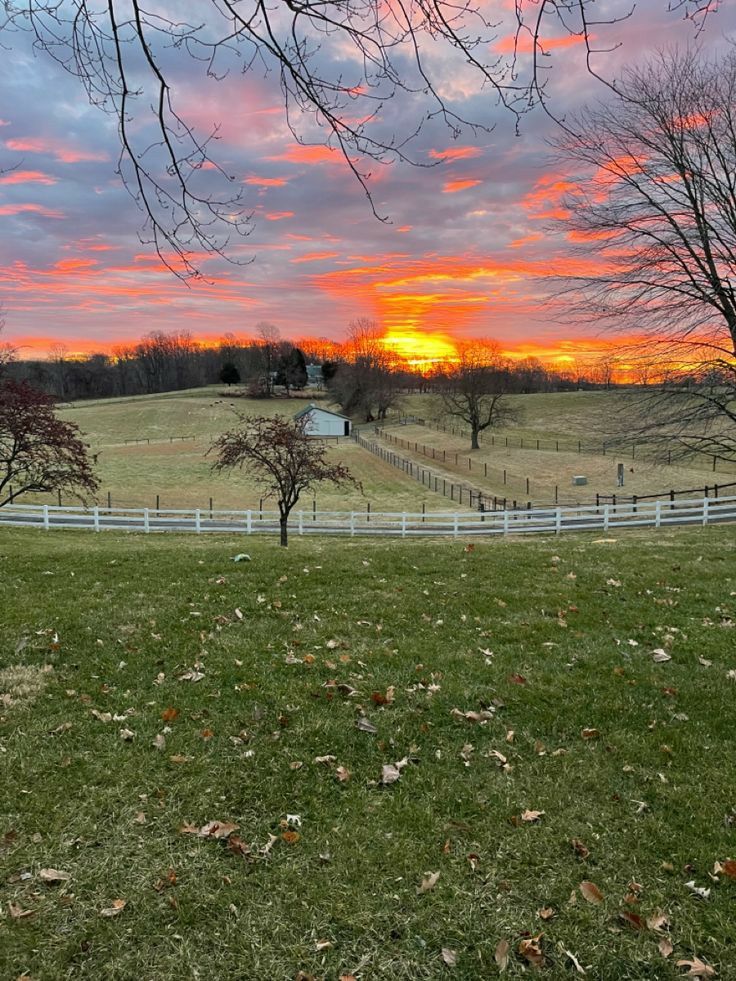 ali_hoonn's tweet image. Good Morning X Fam 💗 

Have A Great Day Ahead 🌞