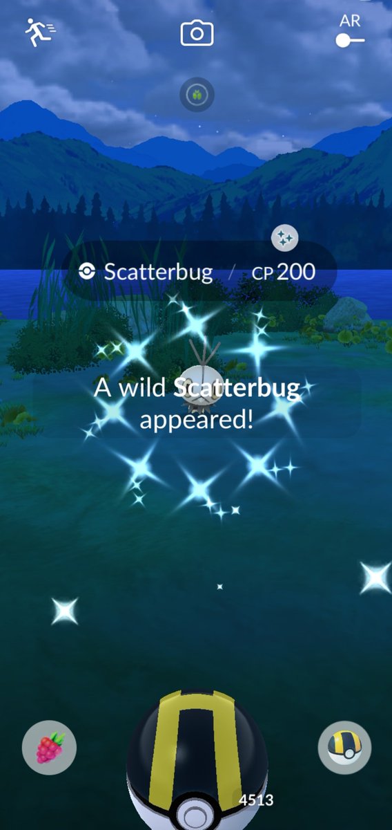 10th ✨️scatterbug. 6th different. This one is river.  #PokemonGO #PokemonGOApp