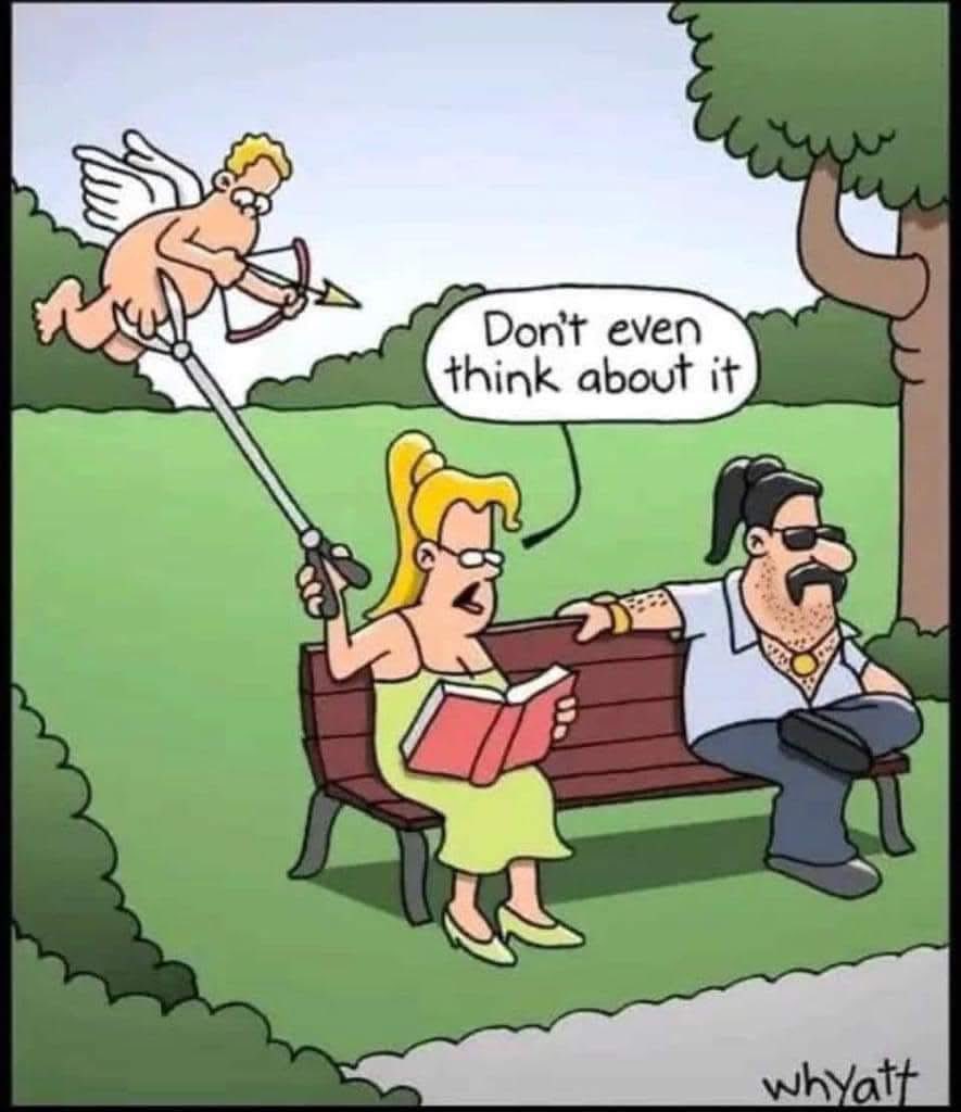 𝙎𝙝𝙚𝙚𝙥𝙞𝙤 🕊️ tweet media