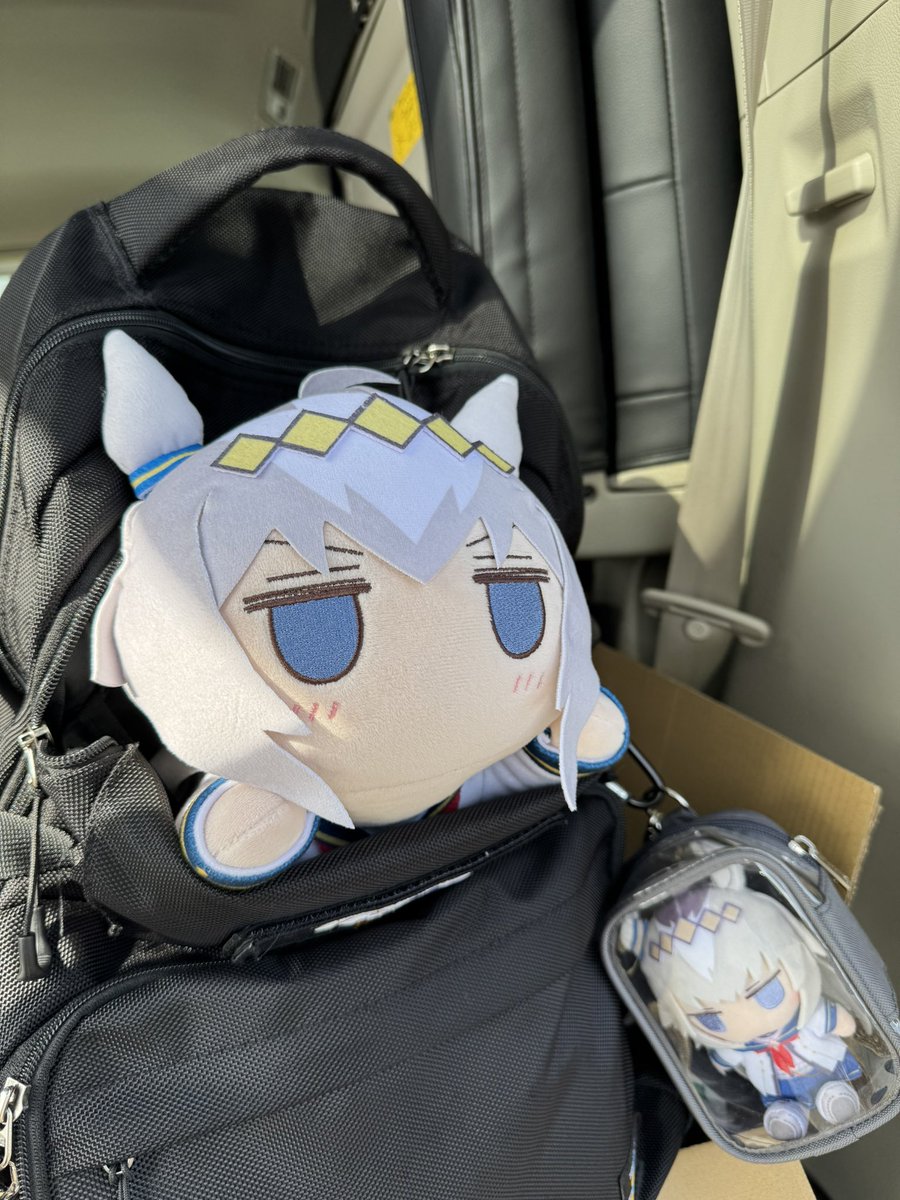 「ついてきたぞっ」
#ウマ娘 #オグリキャップ