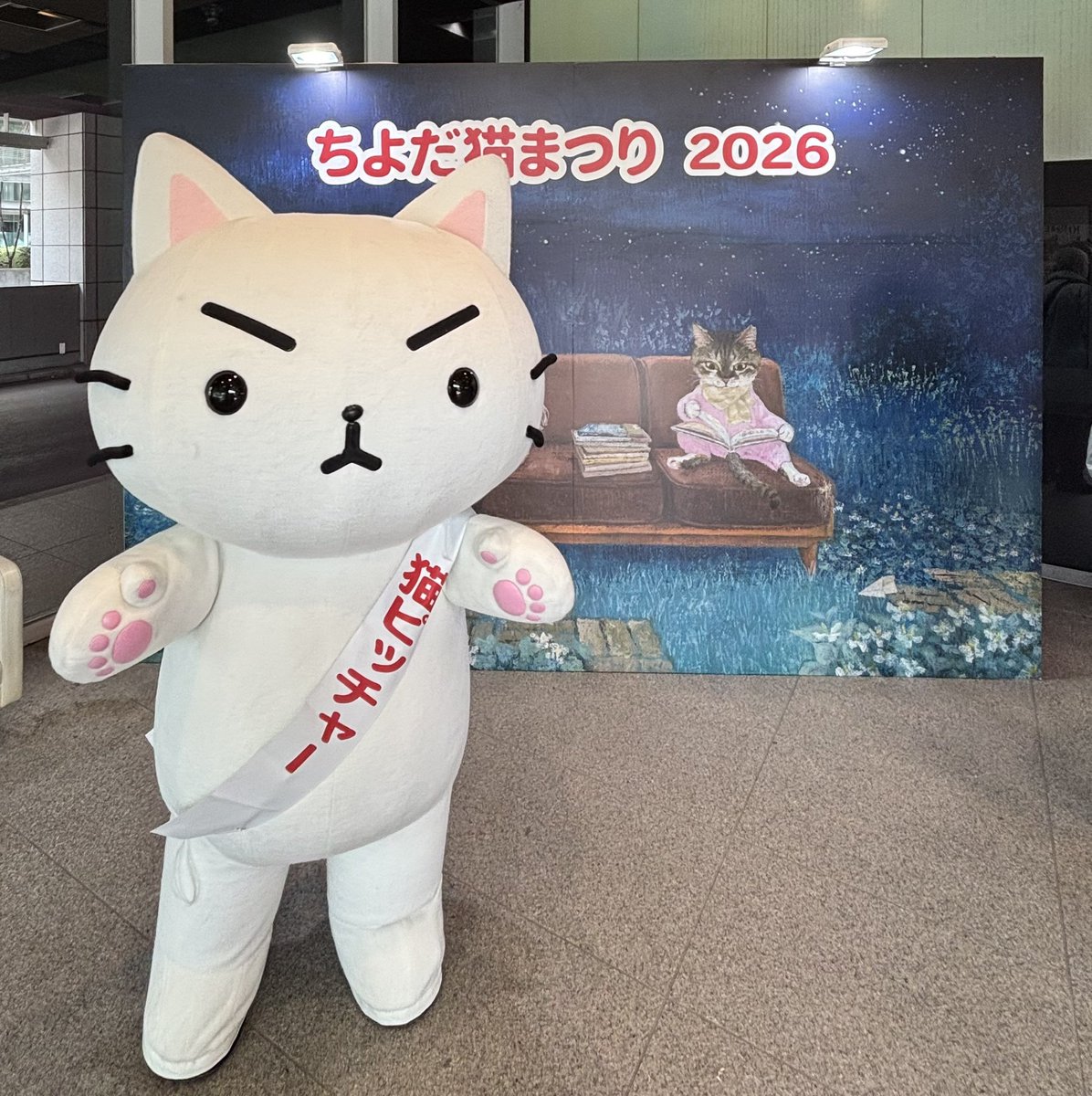 🐱#猫ピッチャー🐱 #ちよだ猫まつり 参加中❣️ 東京・千代田区役所に